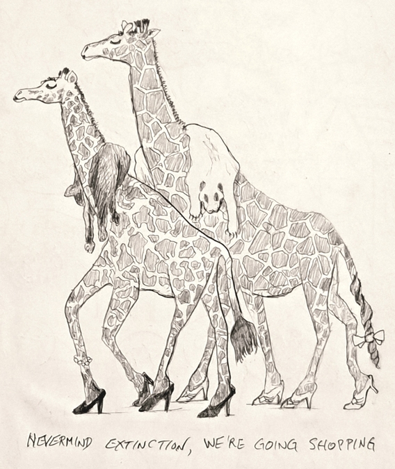 Proud Pair of Giraffes